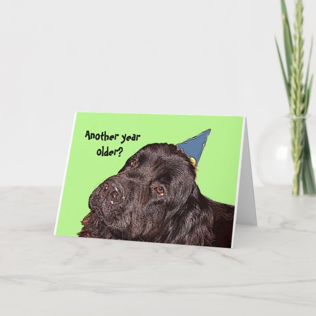 Newfoundland Dog Birthday Card (Front)