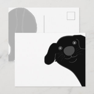 Newfoundland Dog Black Peeking Cartoon Postcard