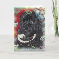 Newfoundland Dog Blank greeting