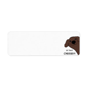 Newfoundland Dog Brown Is That Cheese