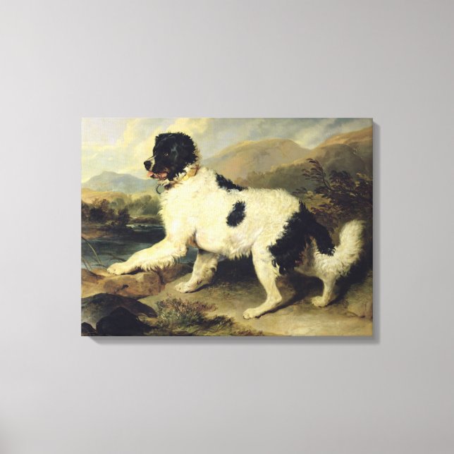 Newfoundland Dog Called Lion, 1824 (oil on canvas) Canvas Print (Front)