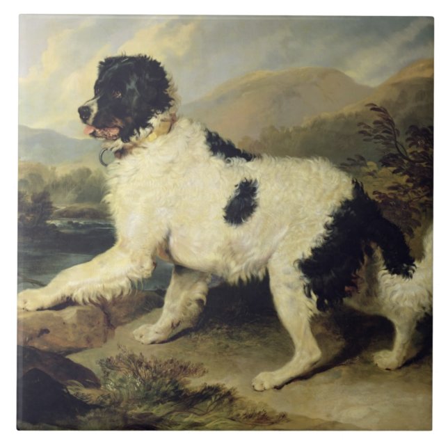 Newfoundland Dog Called Lion, 1824 (oil on canvas) Tile (Front)