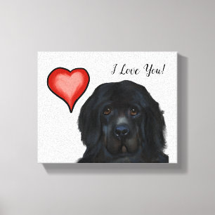 Newfoundland Dog     Canvas Print