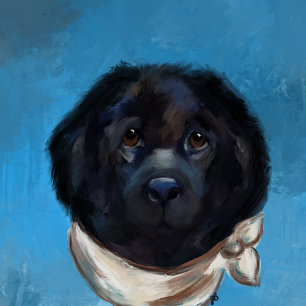 Newfoundland Dog                Canvas Print