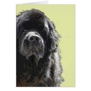 Newfoundland dog Card