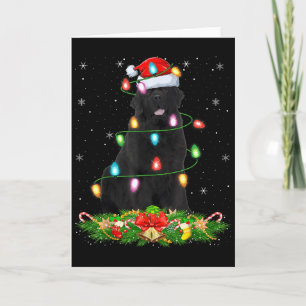 Newfoundland Dog Christmas Lights Funny Santa Hat Card