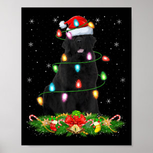 Newfoundland Dog Christmas Lights Funny Santa Hat Poster