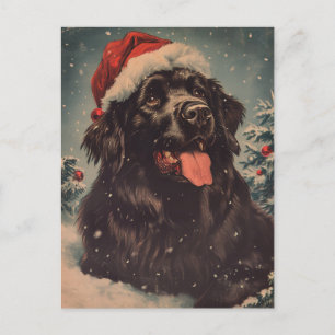 Newfoundland dog Christmas  Postcard