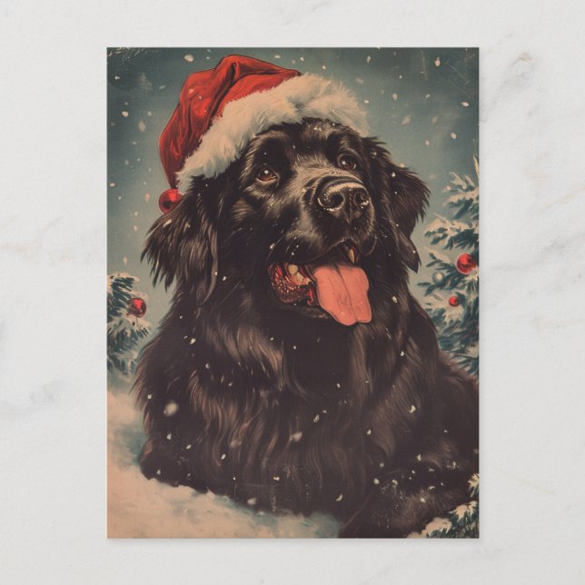 Newfoundland dog Christmas  Postcard (Front)