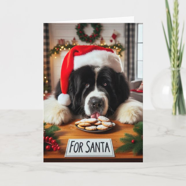 Newfoundland Dog Cookie Lick Christmas Card (Front)