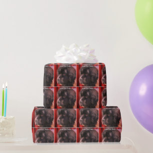Newfoundland Dog Face Personalized Wrapping Paper