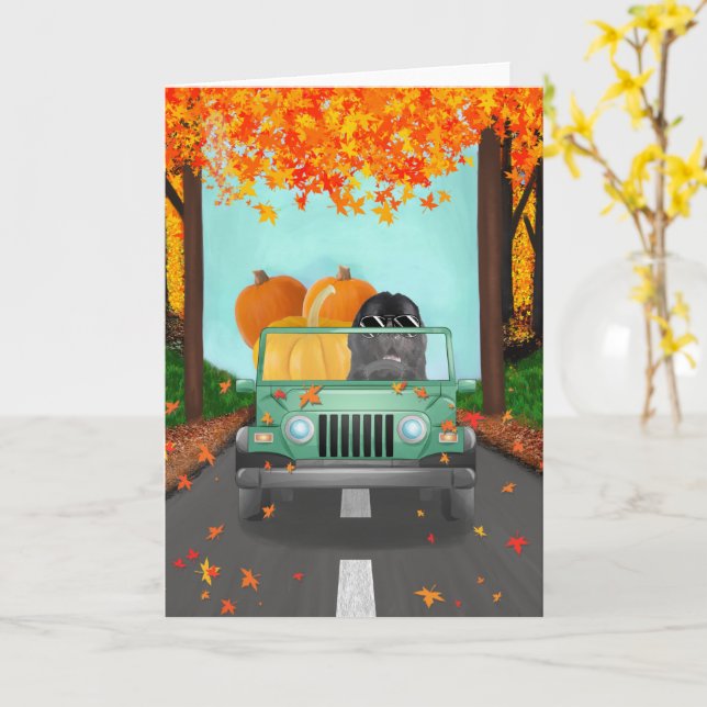 Newfoundland Dog Fall Pumpkin  Card (Yellow Flower)