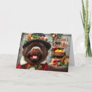 Newfoundland Dog Father Christmas Card