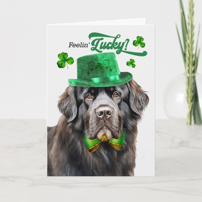 Newfoundland Dog Feelin' Lucky St Patrick's Day Holiday Card (Front)