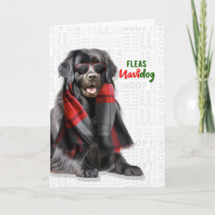 Newfoundland Dog Funny Fleas Navidog Christmas Holiday Card