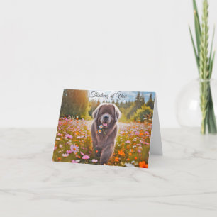 Newfoundland Dog Grey Thinking of You Note Card