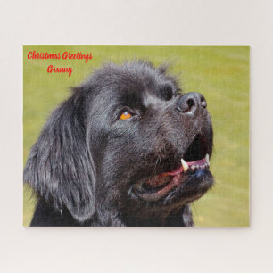 Newfoundland Dog. Jigsaw Puzzle