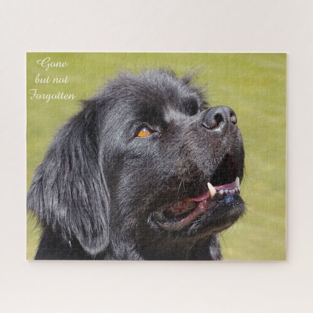 Newfoundland Dog. Jigsaw Puzzle (Horizontal)