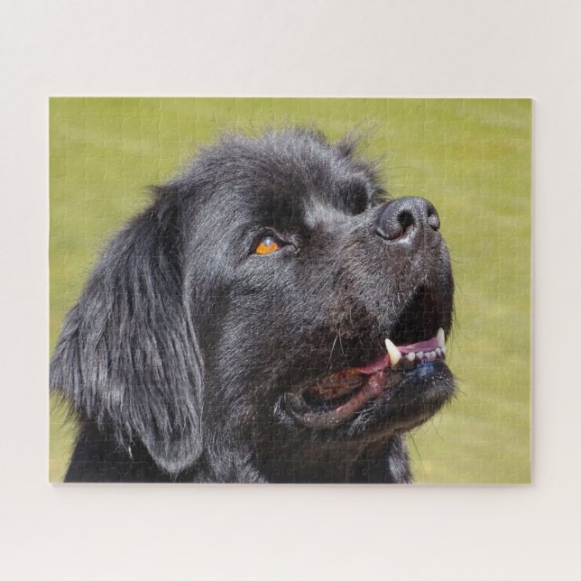 Newfoundland Dog. Jigsaw Puzzle (Horizontal)