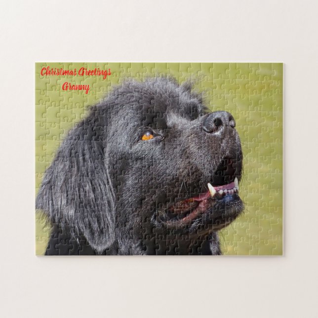 Newfoundland Dog. Jigsaw Puzzle (Horizontal)
