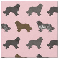 newfoundland dog landseer pink