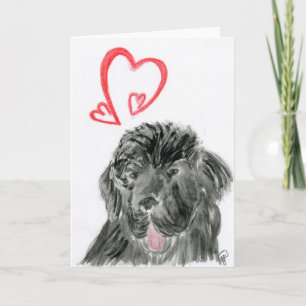 Newfoundland dog love valentine's holiday card