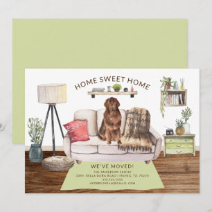 Newfoundland Dog Moving Announcement
