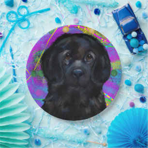 Newfoundland Dog   Paper Plate