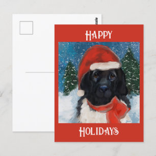 NEWFOUNDLAND  DOG POSTCARD
