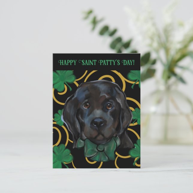 Newfoundland Dog   Postcard (Standing Front)