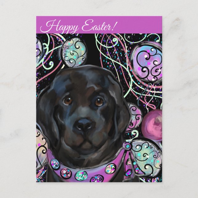Newfoundland Dog   Postcard (Front)