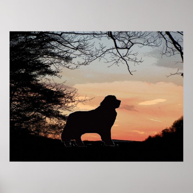 Newfoundland dog poster (Front)