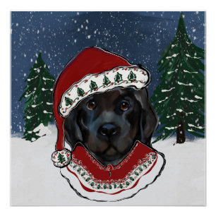 Newfoundland Dog Poster