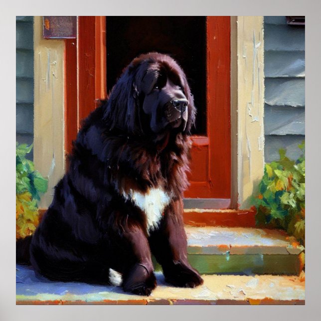 Newfoundland Dog Poster (Front)