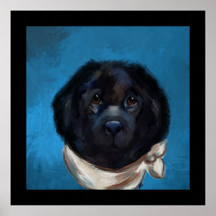 Newfoundland Dog Poster