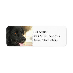 Newfoundland Dog Return Address Label