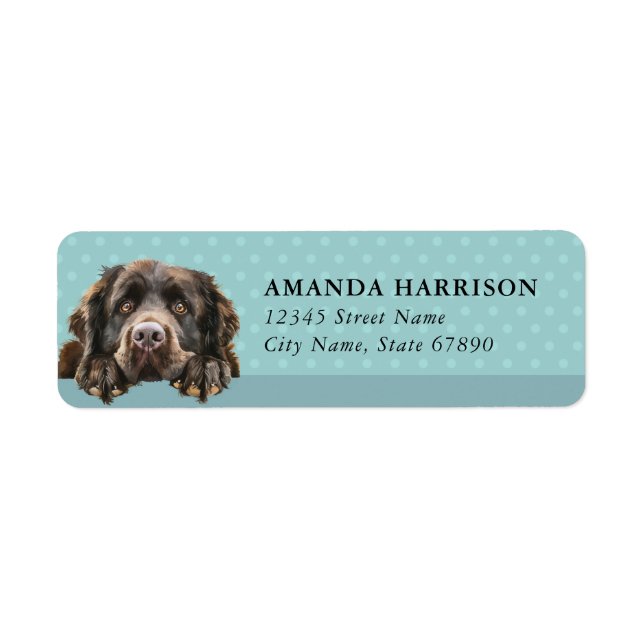 Newfoundland Dog Return Address Labels (Front)
