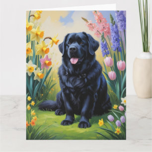 Newfoundland Dog Spring Flowers Painting Card