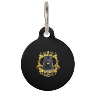 Newfoundland Dog The Moment I Saw You Design Pet Tag