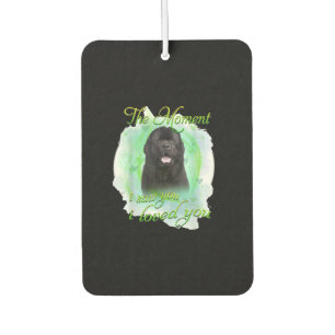 Newfoundland Dog   The Moment I Saw You I Love You Car Air Freshener
