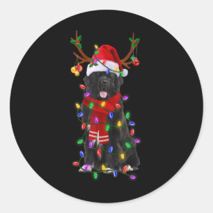 Newfoundland Dog Tree Christmas Lights Xmas Pajama Classic Round Sticker
