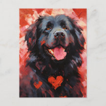 Newfoundland dog Valentines day