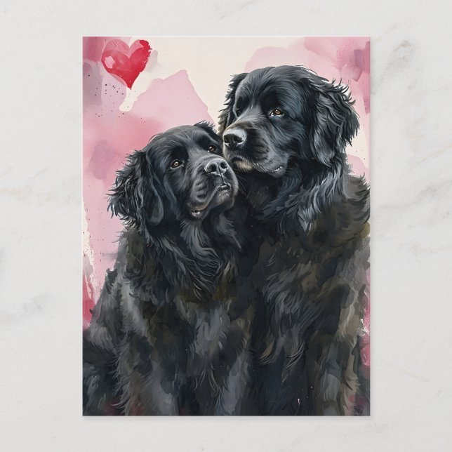 Newfoundland dog Valentine's day  Postcard (Front)