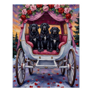 Newfoundland Dog Valentine's Day  Poster