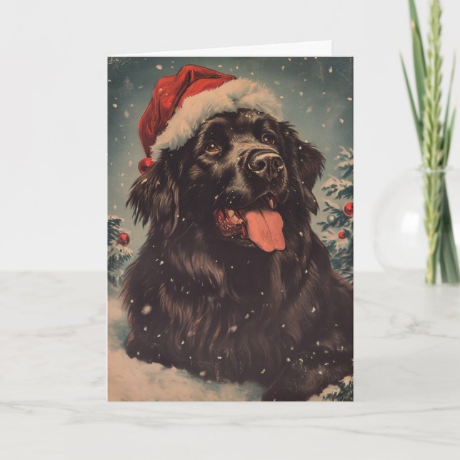 Newfoundland dog vintage personalised Christmas  Holiday Card (Front)