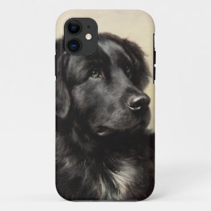 Newfoundland dog vintage realistic paint Case-Mate iPhone case