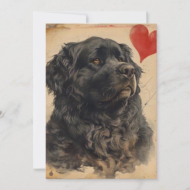 Newfoundland dog Vintage Valentine's day  Holiday Card (Front)