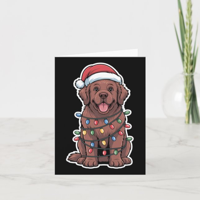 Newfoundland Dog Wrapped In Christmas Lights  Card (Front)
