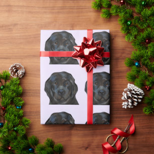 Newfoundland Dog     Wrapping Paper