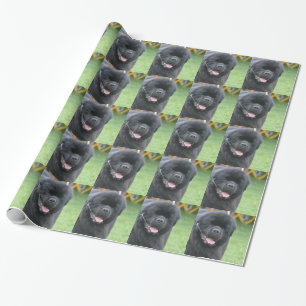 Newfoundland Dog Wrapping Paper